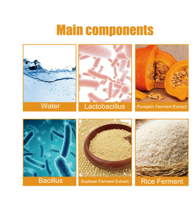 Probiotics Rice Organic Protective Cream Protection Non-greasy